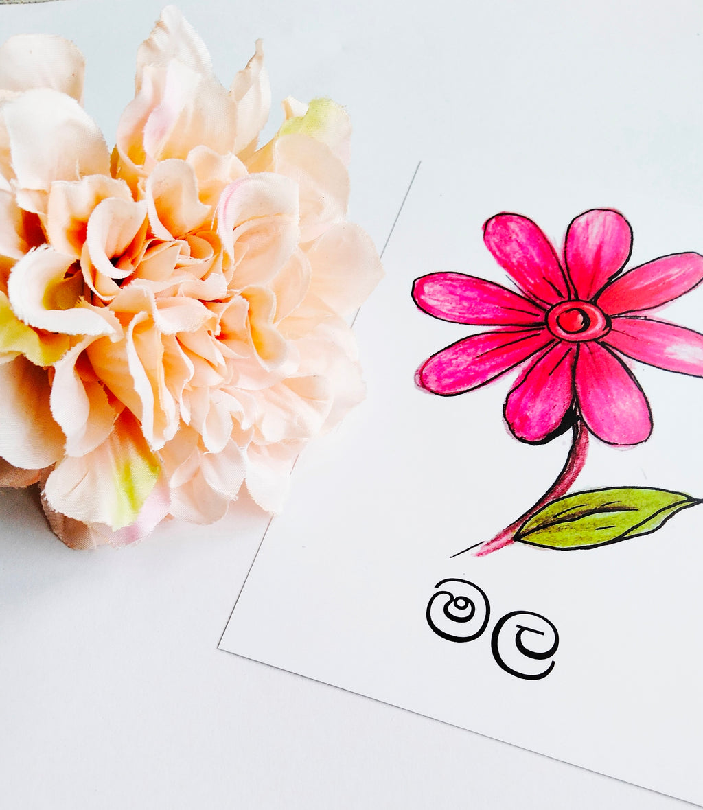 Sinhala Hodiya Flashcards